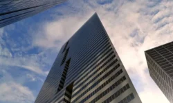 The Hidden Legwork Behind Every NZ Business Insurance Policy